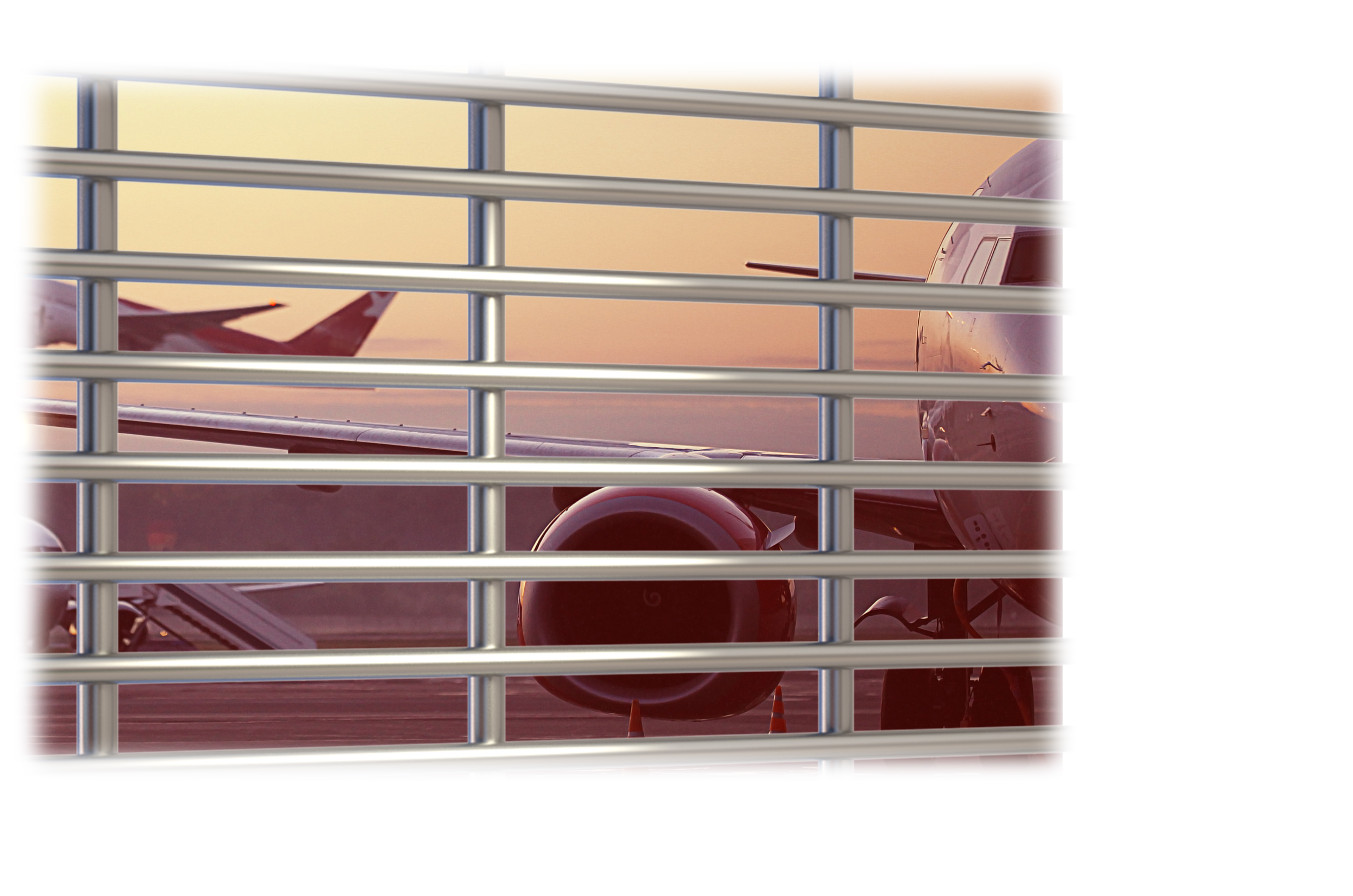 Airport fencing
