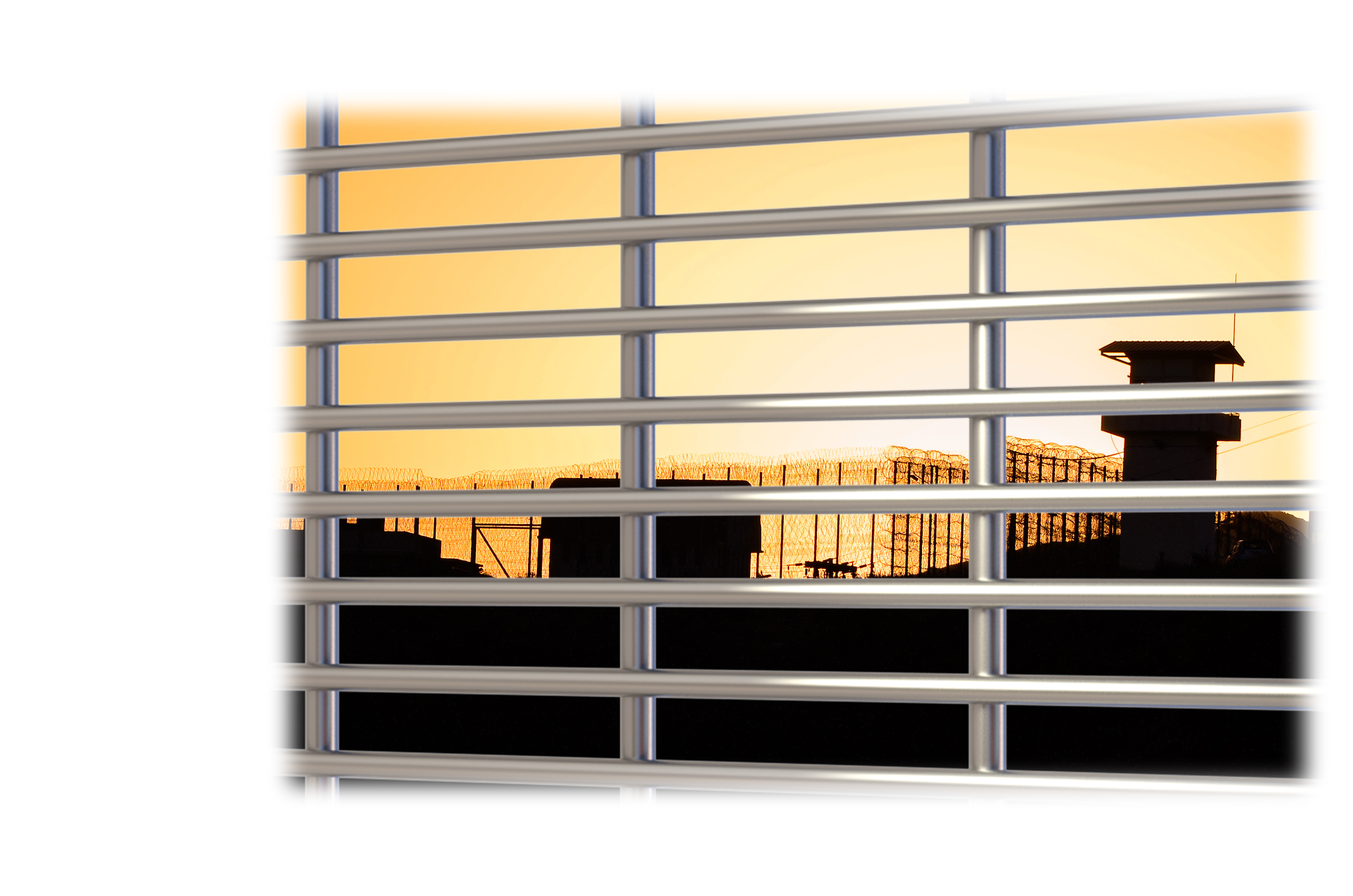 Prison fencing